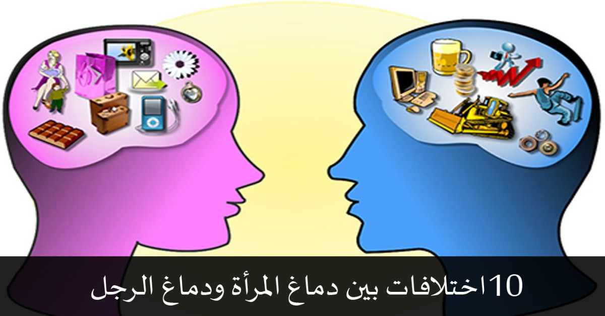 سبعة اختلافات بين الرجل والمرأة احكي سبعة اختلافات بين الرجل والمرأة احكي