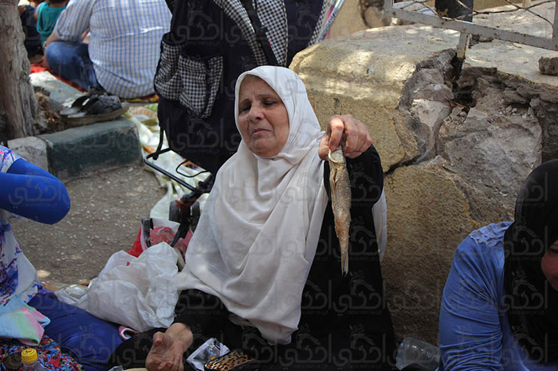 الفسيخ واللعب مع الحيوانات اهم مظاهر احتفال السيدات بعيد الربيع في الإسكندرية