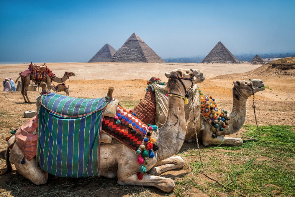 أماكن ينصح بزيارتها في شهر العسل أماكن ينصح بزيارتها في شهر العسل