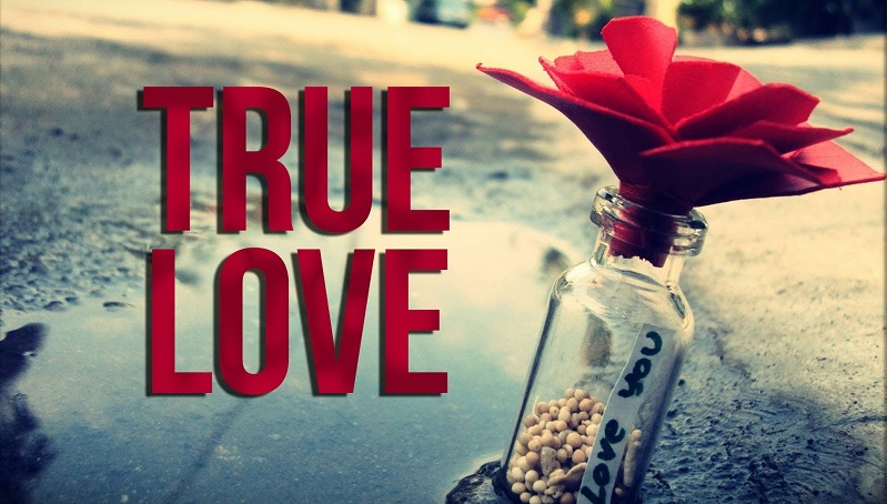 5 قصص قصيرة عن ”قوة الحب الحقيقي”