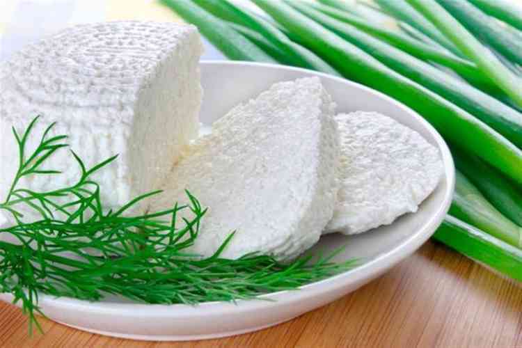 فوائد الجبنة القريش لنظام غذائي صحي وخفيف