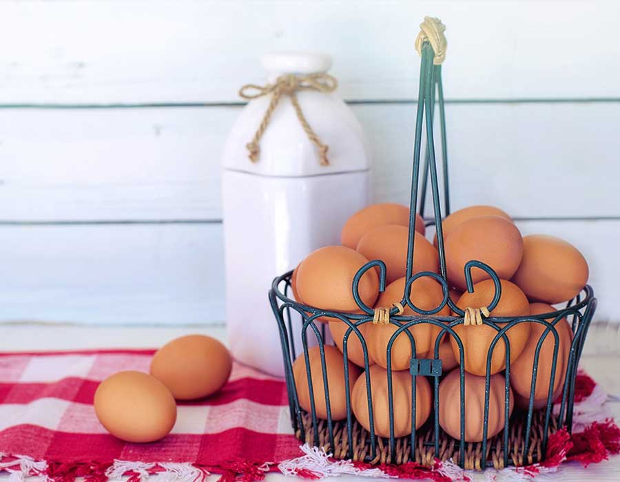 أهم فوائد البيض لصحتك واستخداماته لجمالك