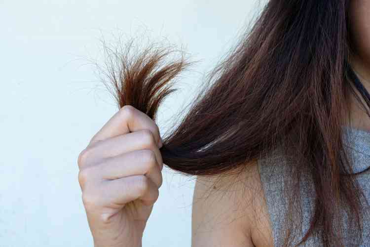 وصفات لتنعيم الشعر الجاف بطرق ومكونات طبيعية