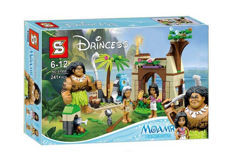 Building Blocks Moana